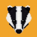 badger币封面icon