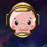 猪币pigcoin封面icon