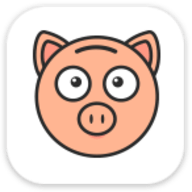 小胖猪贷款封面icon