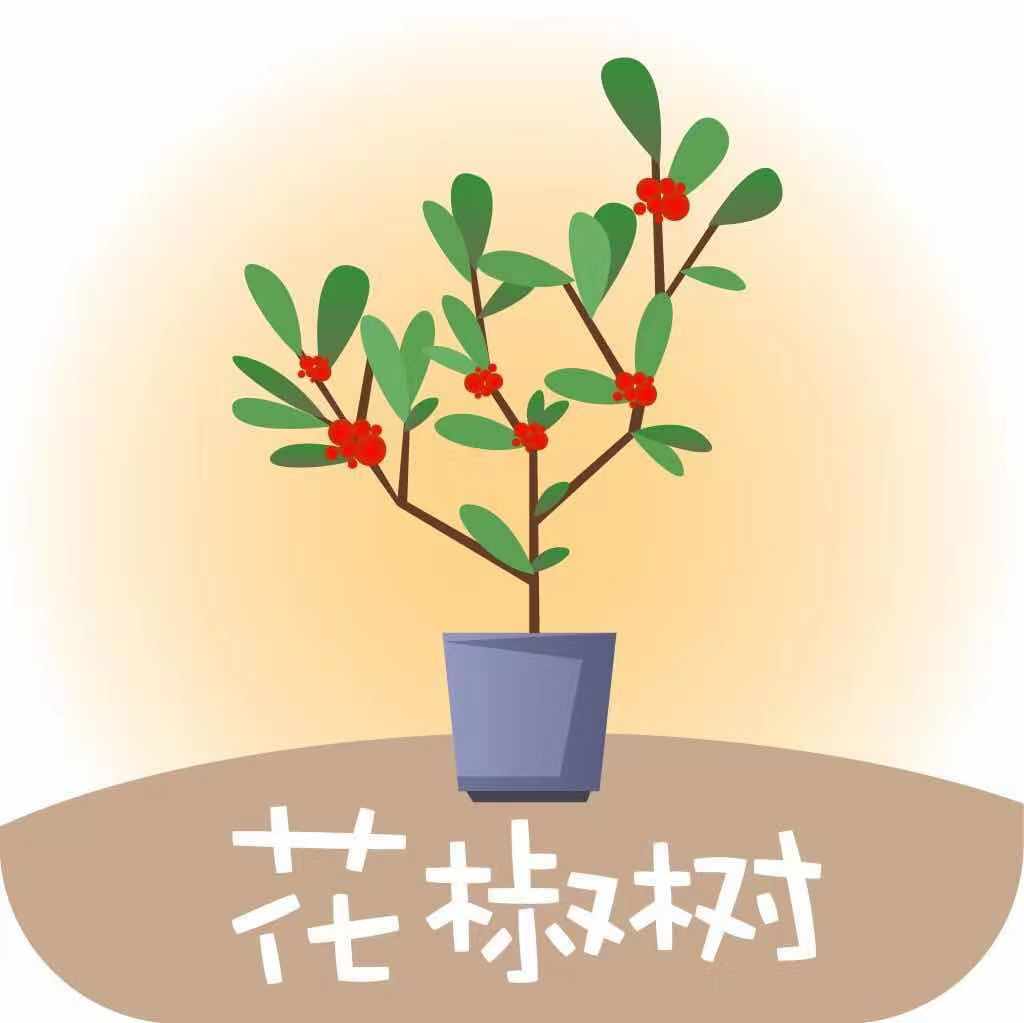 花椒树贷款封面icon