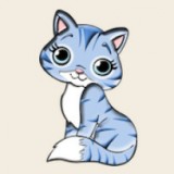Catcoin猫猫币封面icon