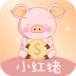 小红猪贷款封面icon