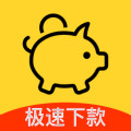 小花猪封面icon
