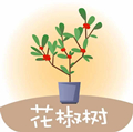 花椒树贷款封面icon