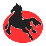 黑马小贷封面icon
