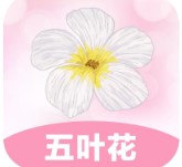 五叶花贷款封面icon