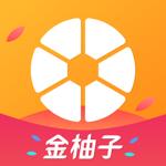 金柚子借款封面icon