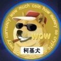 柯基犬币封面icon