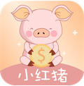 小红猪封面icon