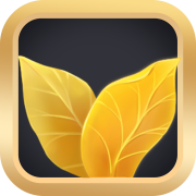 黄金花封面icon