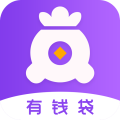 有钱袋封面icon