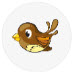 小鸟应急封面icon