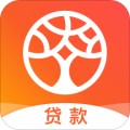 榕树贷款封面icon