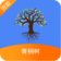 青桐树封面icon