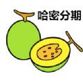哈密分期封面icon