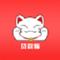 贷款猫贷款封面icon