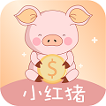 小红猪钱包封面icon