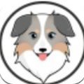 澳洲牧羊犬币封面icon