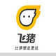 大飞猪封面icon