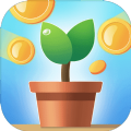 阳光金币屋封面icon