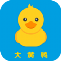 小黄鸭贷款封面icon