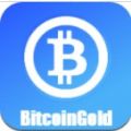 BitGold区块链封面icon