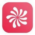 花火链上交易平台封面icon