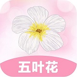 五叶花封面icon