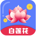 白莲花封面icon