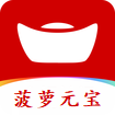 菠萝元宝封面icon