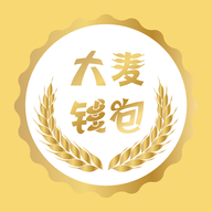 大麦钱包封面icon