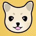 kishu币封面icon