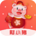 财小猪贷款封面icon