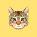 金鳞猫封面icon